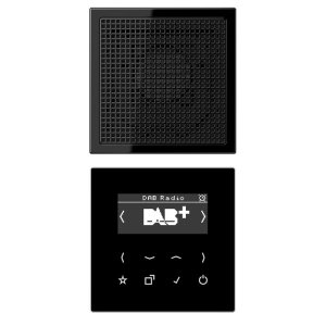 Jung Smart Radio DAB+, Display DABLS1SW
