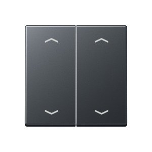 Jung Serienwippe, Symbol Pfei A102PBFANM