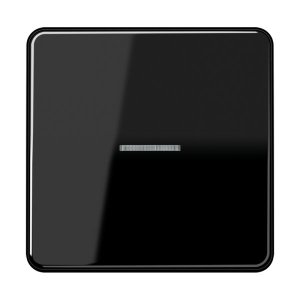 Jung Wippe mit Lichtleiter fü CD101KO5SW