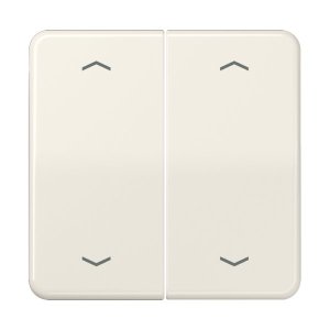 Jung Serienwippe, Symbol Pfeil fü CD102P