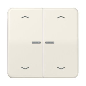 Jung Serienwippe mit Lichtleit CD102KO5P