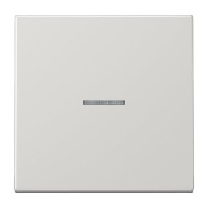 Jung Wippe mit Lichtleiter fü LS101KO5LG