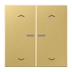 Jung Serienwippe mit Lichtlei ME102KO5PC