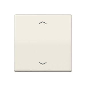 Jung Wippe, Symbol Pfeil für KNX AS101P