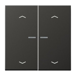 Jung Serienwippe mit Lichtle AL102KO5PAN