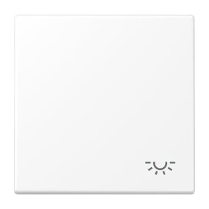 Jung Wippe m. Symbol 'Licht' LS990LWWM