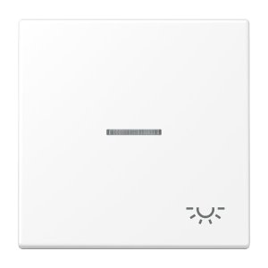 Jung Wippe m. Symbol 'Licht LS990KO5LWWM