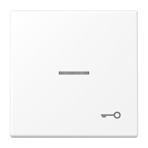 Jung Wippe m. Symbol 'Tuer' LS990KO5TWWM