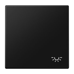 Jung Wippe m. Symbol 'Licht' LS990LSWM