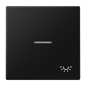 Jung Wippe m. Symbol 'Licht LS990KO5LSWM