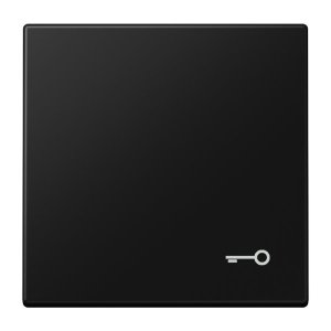 Jung Wippe m. Symbol 'Tuer' LS990TSWM