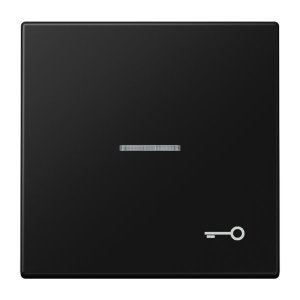 Jung Wippe m. Symbol 'Tuer' LS990KO5TSWM