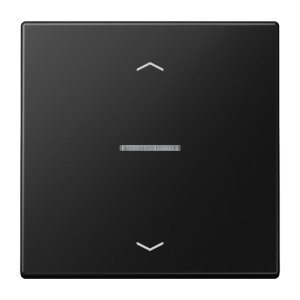 Jung Wippe für Taster KO, P LS101KO5PSWM