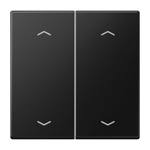 Jung Wippe für Serientaster -P LS102PSWM