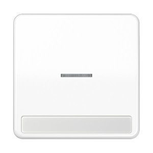 Jung CD590NAKO5WW Wippe f. Schalter/Taster NA