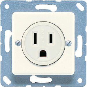 Jung 121-15 US-NEMA-Steckdose
