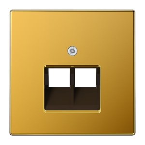 Jung LS969-2UAGGO Abdeckung f. IAE/UAE-Anschl