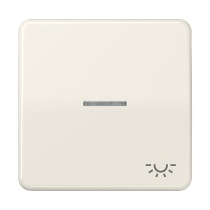 Jung CD590KO5L Wippe m. Symbol "Licht" KO