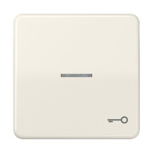 Jung CD590KO5T Wippe m. Symbol "Tuer" KO