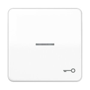 Jung CD590KO5TWW Wippe m. Symbol "Tuer" KO