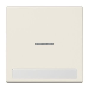 Jung LS990NAKO5 Wippe f. Schalter/Taster NA