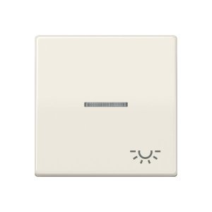 Jung AS591KO5L Wippe m. Symbol "Licht" KO