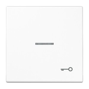 Jung LS990KO5TWW Wippe m. Symbol "Tuer" KO