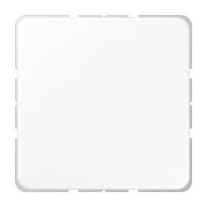 Jung CD594-0WW Blind-Abdeckung