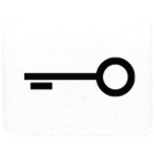 Jung 33TWW Taster-Symbol Tuer