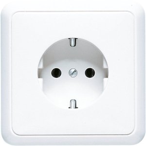 Jung 5520WWPL Zentralplatte f. SCHUKO-Ste