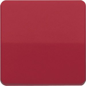 Jung Wippe f. Schalter/Taster CD590BFRT