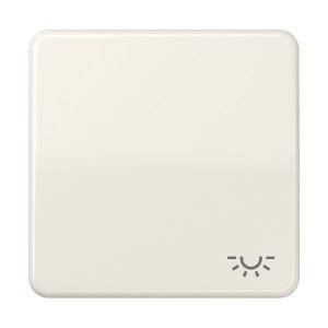 Jung CD590BFL Wippe m. Symbol "Licht"