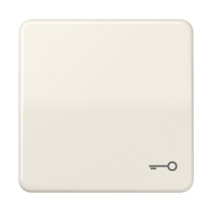 Jung CD590BFT Wippe m. Symbol "Tuer"