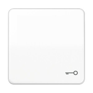 Jung CD590BFTWW Wippe m. Symbol "Tuer"