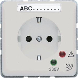 Jung CD521KINAUFGNPL Zentralplatte f. SCHUKO-Ste