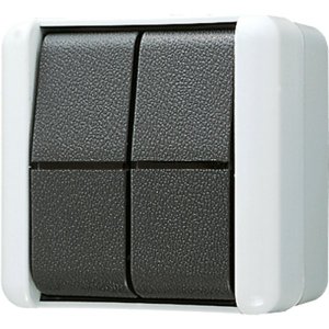 Jung 839W Doppel-Taster 2 Wechsler
