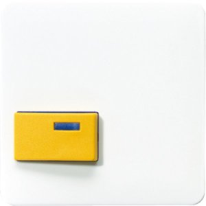 Jung CD642DWW Abdeckung f. Ackermann