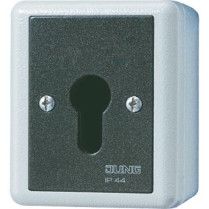 Jung 833.18G Schluesselschalter