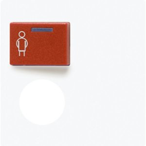 Jung A071BWW Abdeckung f. Ackermann