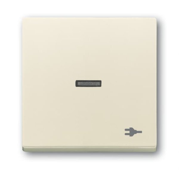 Busch-Jäger Wippe Kontr Stecker 1789ST-82, 2CKA001751A3158