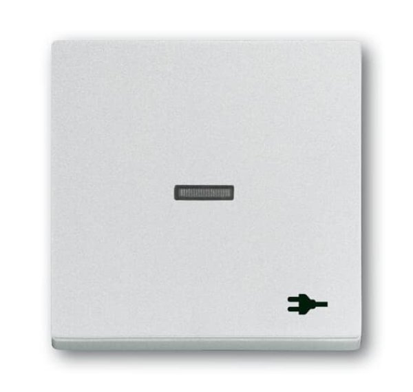Busch-Jäger Wippe Kontr Stecker 1789ST-83, 2CKA001751A3159