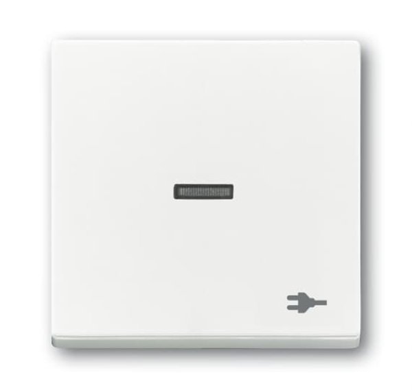 Busch-Jäger Wippe Kontr Stecker 1789ST-84, 2CKA001751A3160