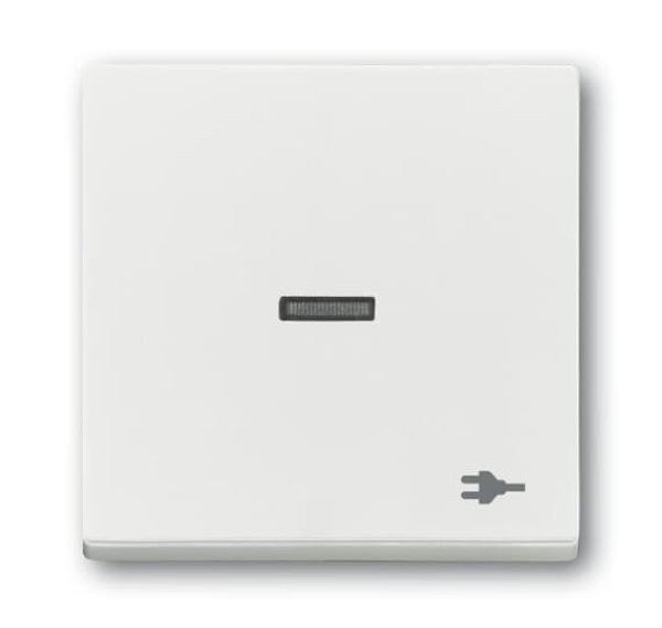 Busch-Jäger Wippe Kontr Stecker 1789ST-884, 2CKA001751A3163