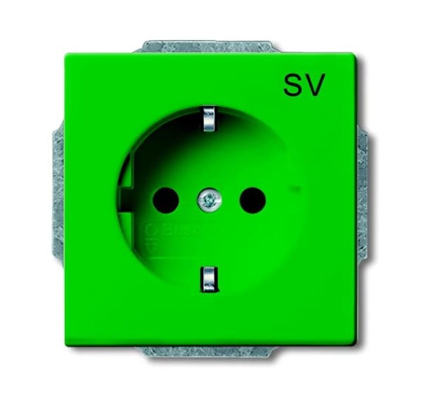 Busch-Jäger Steckd. SF, 20 EUC-13-82-101