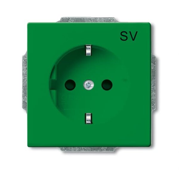 Busch-Jäger SCHUKO®-Std eBs grü SV, 20 EUCB-13-82-102