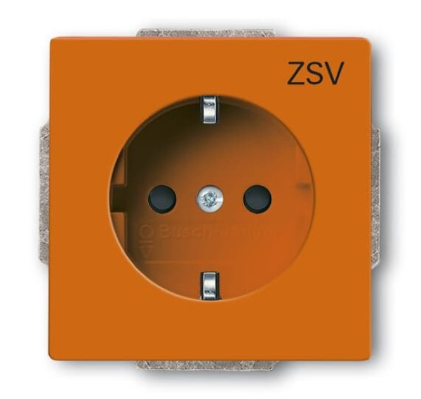 Busch-Jäger SCHUKO®-Std eBs or 20EUCB-14-82-10, 2CKA002013A5413