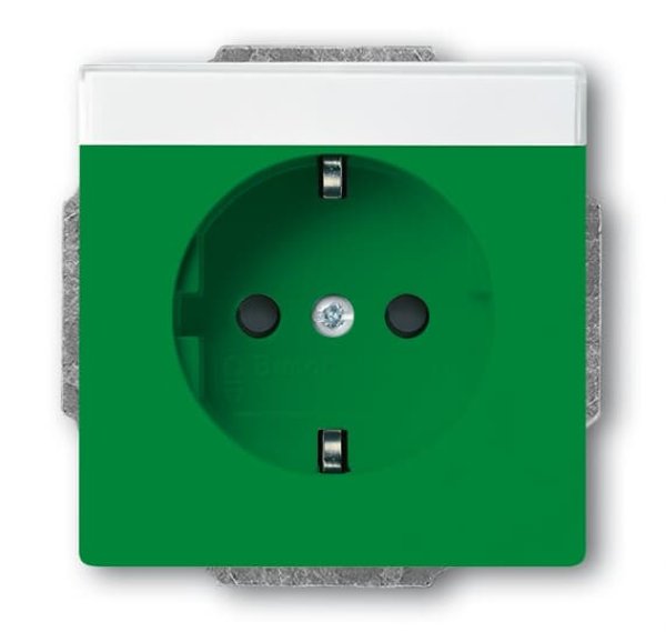 Busch-Jäger SCHUKO®-Std eBs bes 20EUCNB-13-82, 2CKA002013A5424