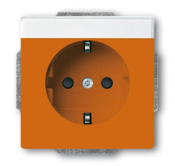 Busch-Jäger SCHUKO®-Std eBs bes 20EUCNB-14-82, 2CKA002013A5425