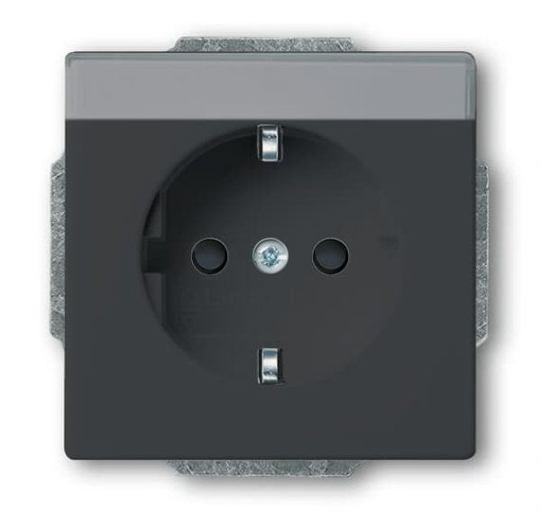 Busch-Jäger SCHUKO®-Std eBs bes 20EUCNB-81, 2CKA002013A5427