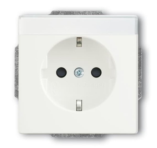 Busch-Jäger SCHUKO-Steckdosen-Einsa 20EUCNB-884, 2CKA002013A5433